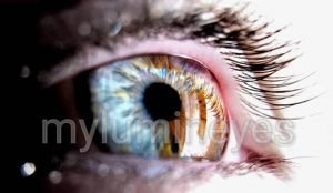 IMG 20181026 022555 357h300