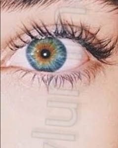 IMG 20181123 165918 817h300