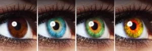 eye color variations-green eyes,brown eyes,blue eyes