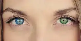 color eyes and makeup for beauty
