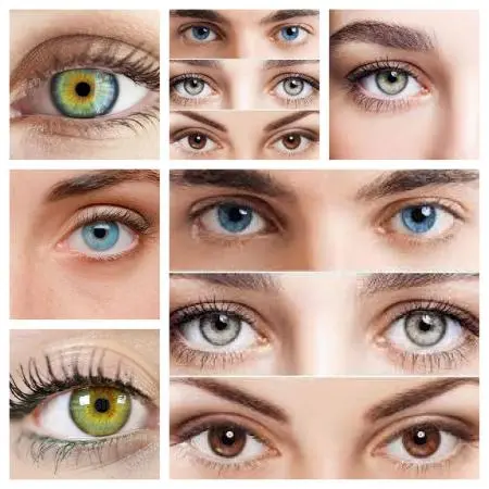 el color y la forma de ojos más atractivos