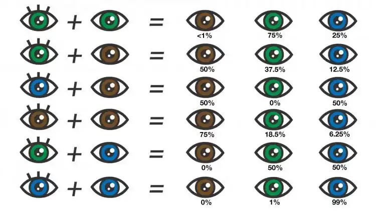 what color are my eyes