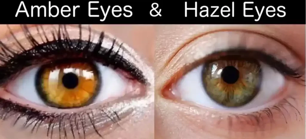 amber honey hazel eye color