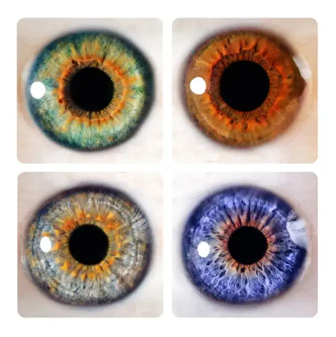 o que determina a cor dos olhos