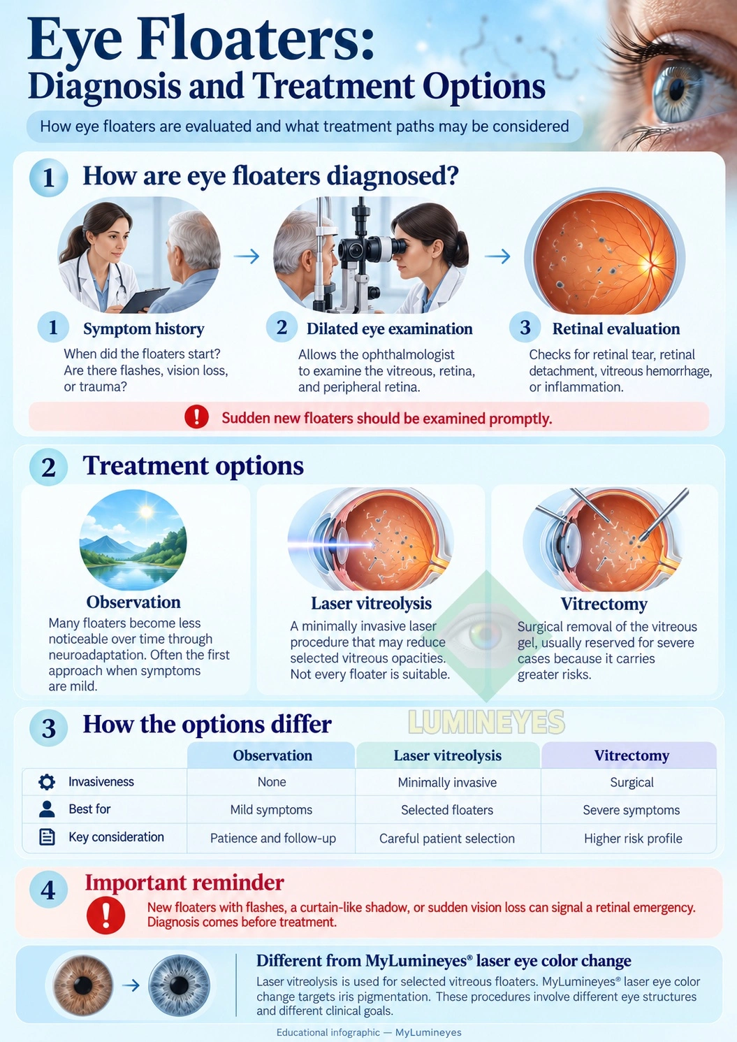 Eye Floaters: Diagnosis and Treatment Options Eye floaters diagnosis and treatment infographic with eye examination laser vitreolysis and vitrectomy