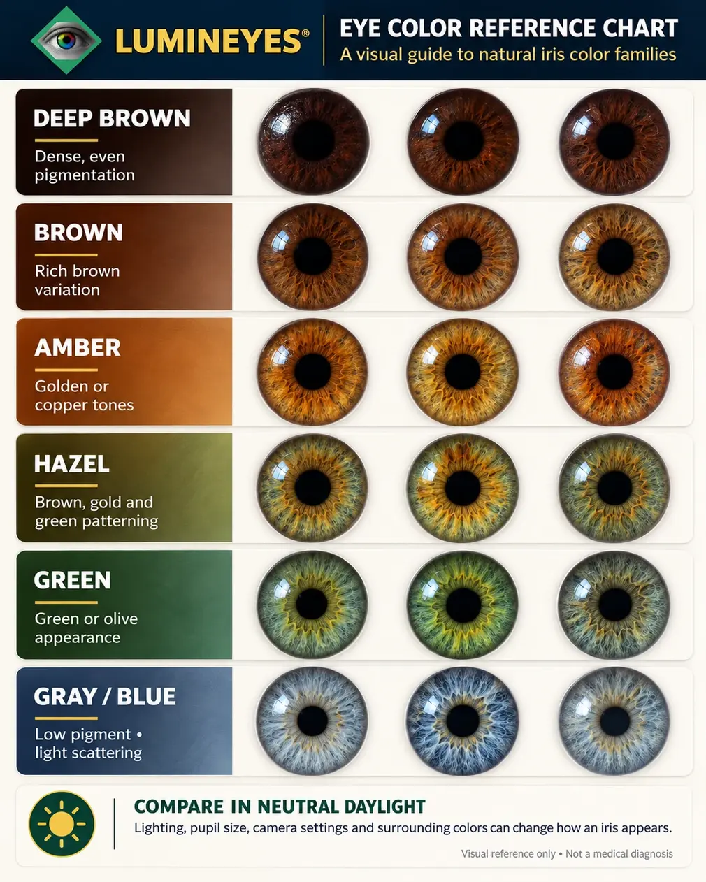 Lumineyes eye color reference chart comparing deep brown, brown, amber, hazel, green, gray and blue irises.