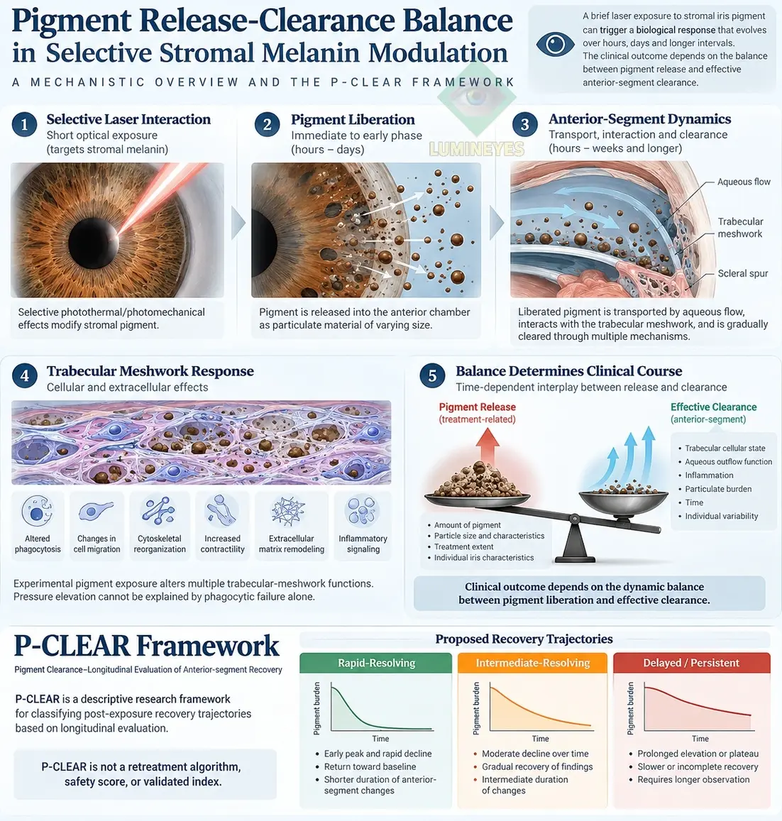 Mechanistic infographic showing pigment liberation, trabecular response, effective clearance and P-CLEAR recovery trajectories after selective stromal melanin modulation