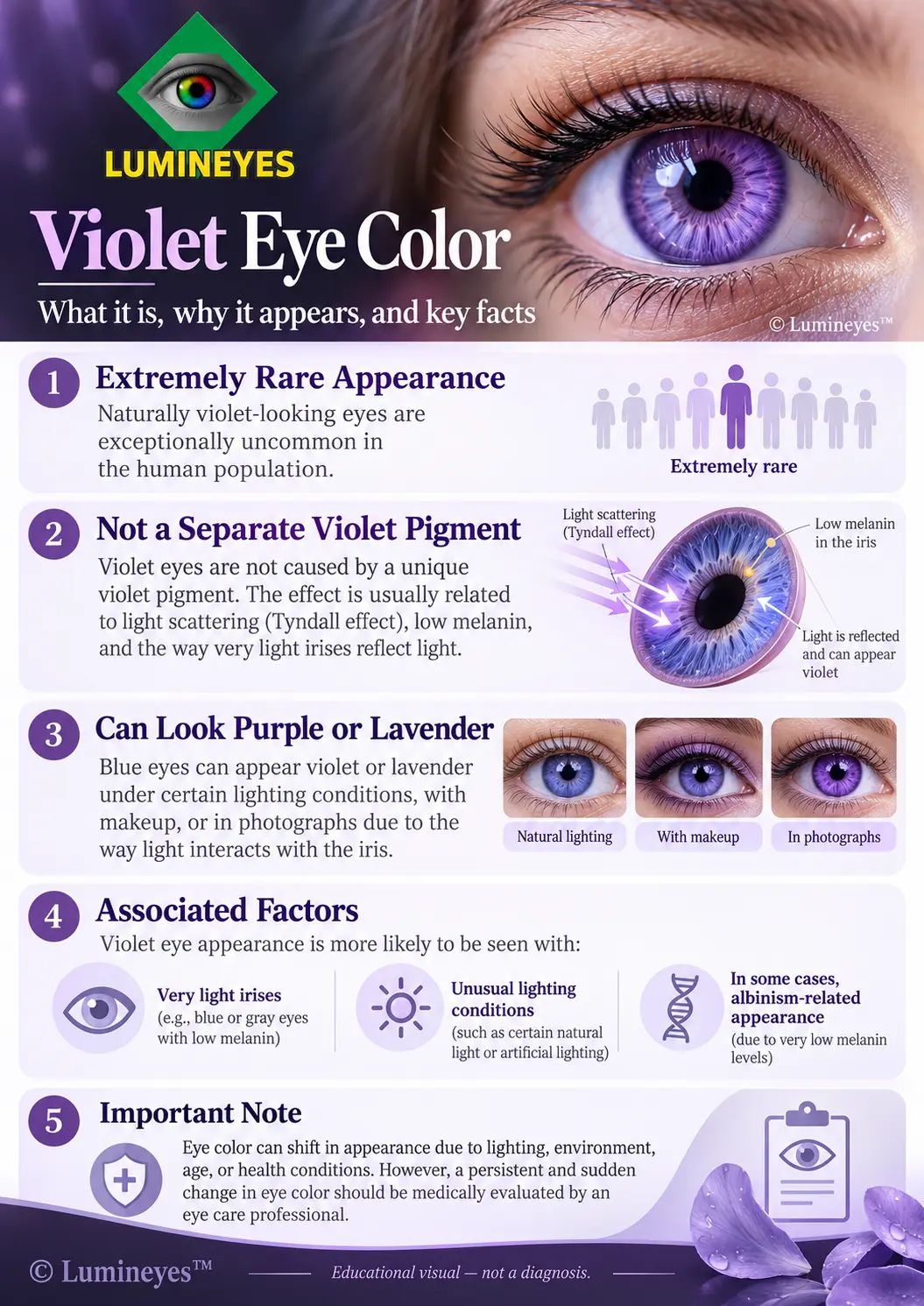 Lumineyes infographic explaining violet eye appearance, low melanin, genetics, optical effects and rarity